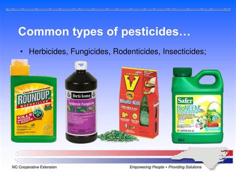 PPT - Pesticide Safety PowerPoint Presentation, free download - ID:5227029