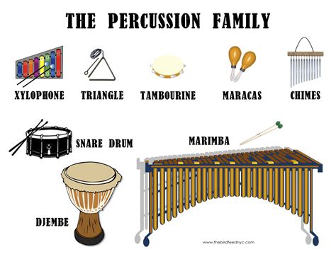 http://thebirdfeednyc.com/wp-content/uploads/2012/08/The-Percussion-Family-The-Bird-Feed.png ...