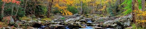 Fall Foliage | Great Smoky Mountains Guide