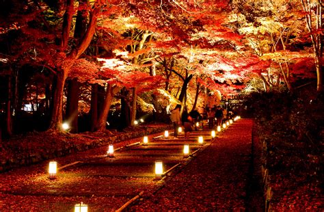 5 Best Temples to Visit at Night in Kyoto – Japan Travel Guide -JW Web Magazine