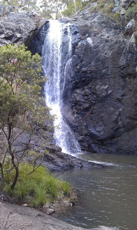 Cedar Creek Falls Swimming Hole, North Tamborine, Queensland » Free Camping Map