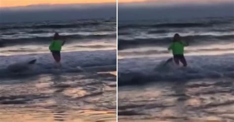 Watch: Sea Lion Leaps Out of Ocean To Attack 13-Year-Old Girl Playing ...