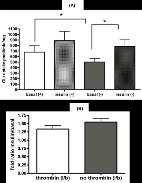 Glucose uptake in skeletal muscle myotubes. (A) Represents the absolute... | Download Scientific ...