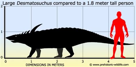 Desmatosuchus Prehistoric Wildlife, Prehistoric Creatures, Tall Person ...