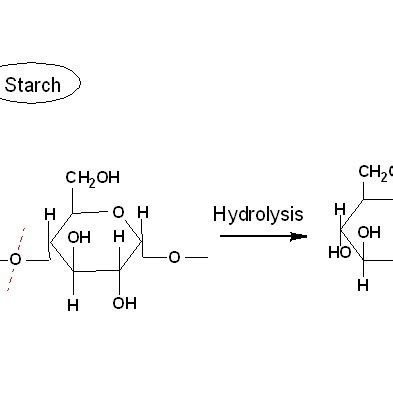 Schematic hydrolysis of starch by amylase enzyme [70] | Download Scientific Diagram