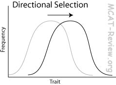 Evolution - MCAT Review