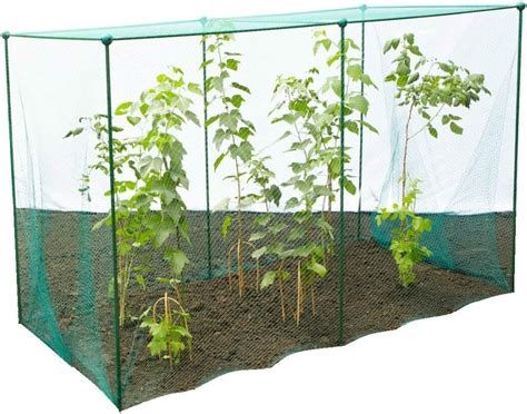 GardenSkill Fruit and Vegetable Garden Cage Kit with Butterfly Netting - Brassica Plant ...