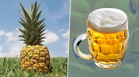 Pineapple Beer Recipe: Step-by-Step Method of Preparing Homemade ...