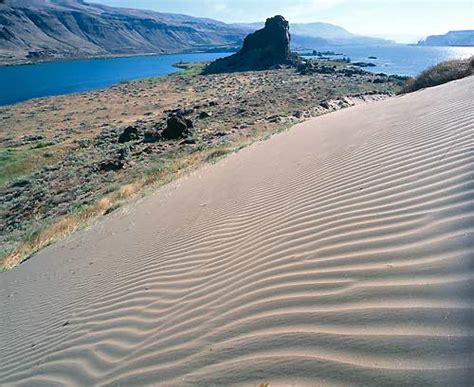 Sand Dunes Along Columbia River Photo