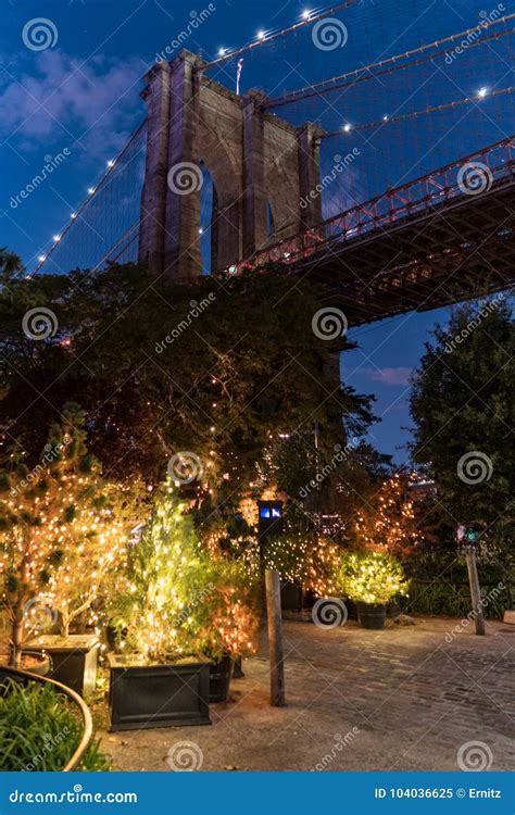 Brooklyn Bridge stock image. Image of bushes, bridge - 104036625