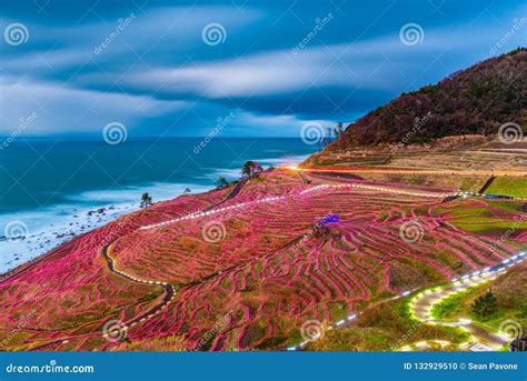 Wajima, Japan at Shiroyone Senmaida Stock Photo - Image of coastline, dusk: 132929510