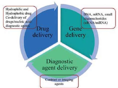 Applications of lipid-polymer hybrid nanocarriers [46]. | Download Scientific Diagram