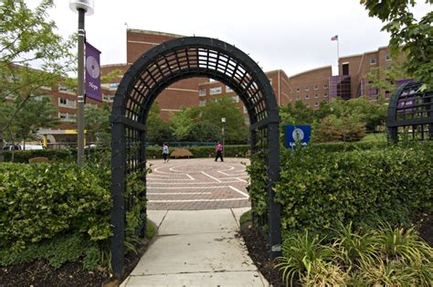 Healing Garden and Labyrinth at Johns Hopkins Bayview Medical Center ...