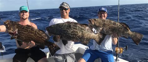 Key Largo Fishing Charter | Deep Sea | Sea Spirit Offshore Fishing