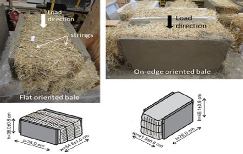 Bale orientation and dimensions. | Download Scientific Diagram