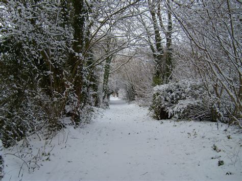 HAROLD'S CYCLING IN HERTFORDSHIRE: A couple of wintry scenes