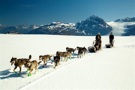 Alaska Helicopter Tour | Glacier Dogsledding | Alaska Glacier Lodge