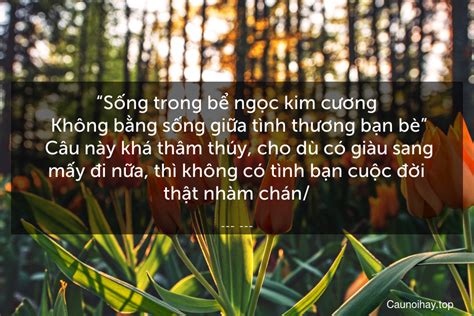 Sống trong bể ngọc kim cương Không bằng sống giữa tình thương bạn...