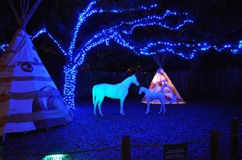 Zoo Lights at the Houston Zoo - Clumsy Crafter