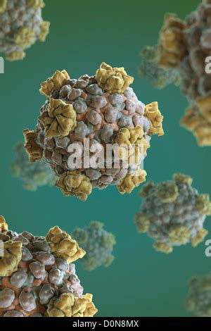 Structure Reovirus core (PDB 1EJ6) which synthesizes modifies exports ...