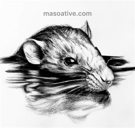 15 Rat Drawing Ideas that is (Cute, Easy & Realistic)