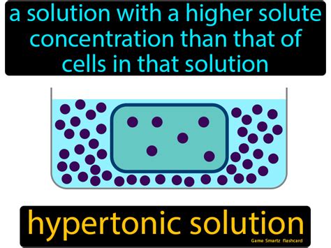 Hypertonic Solution Flashcard - 9th Grade Science | Solutions ...