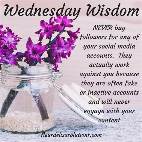 Wednesday Wisdom 6-14-17 NEVER buy followers for your social media ...