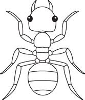 Search Results for insect Pictures - Graphics - Illustrations ...