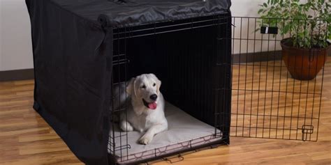 5 Best Dog Kennel Covers – Buying Guide, Tips, Reviews & FAQ