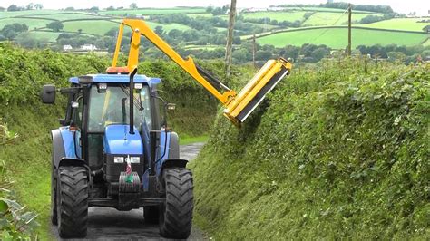 Council decision to extend hedge-cutting period in Kilkenny criticised