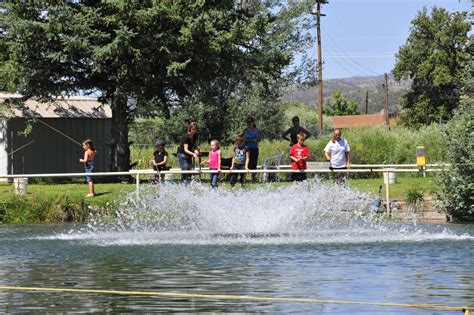 Trout Fishing at Its Finest. Catch Fish on Bamboo Poles.