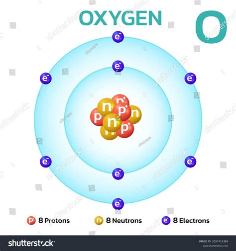 Oxygen Atomic Structureconsists 8 Protons 8 Stock Vector (Royalty Free) 2297415365 | Shutterstock