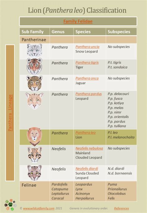 Binomial Nomenclature Chart