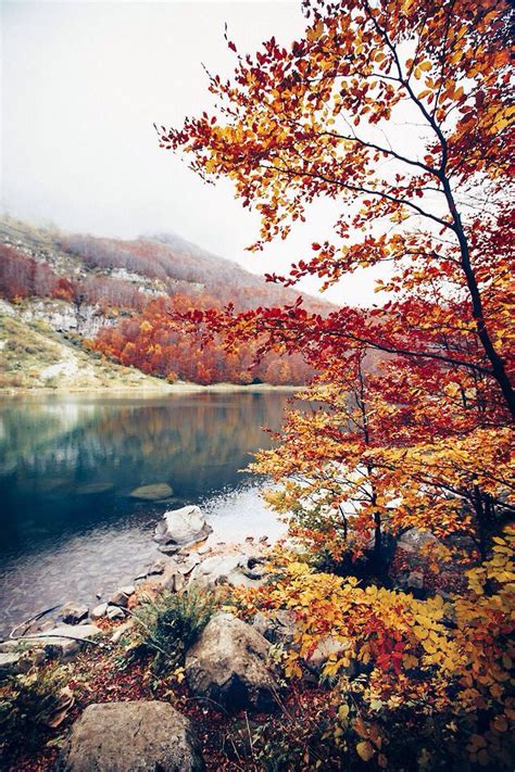 October Dreaming | Beautiful nature, Landscape, Nature