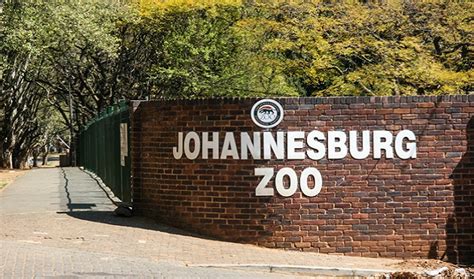 Experience & Explore The Joburg Zoo - Joburg.co.za