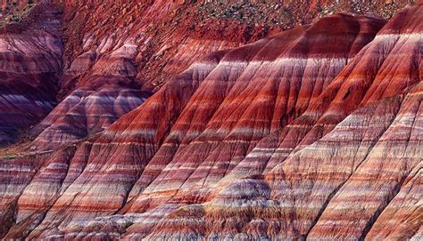 Geological strata: they’re everywhere | Sedimentary rocks, Sedimentary ...