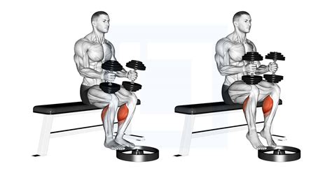 Standing Calf Raise - Guide, Benefits, and Form