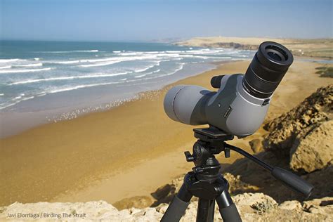 Best Spotting Scope for Birding: 2022's Top 5 - Birdwatching Buzz