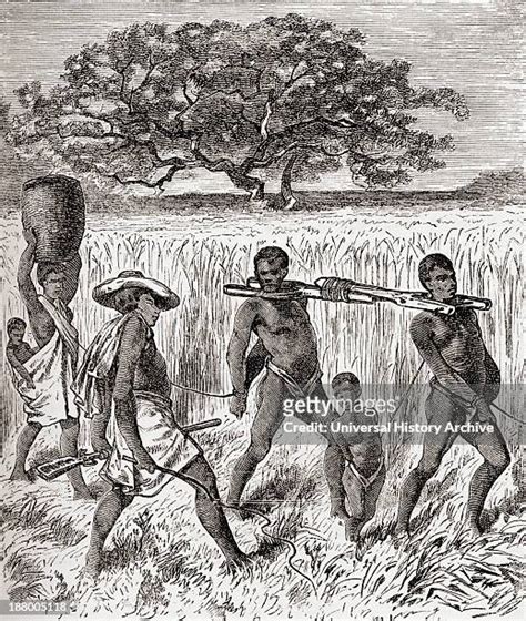 6,292 Slavery In Africa Stock Photos, High-Res Pictures, and Images ...