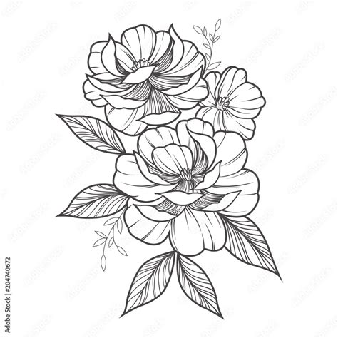 Flowers drawing and sketch with line-art Stock Vector | Adobe Stock