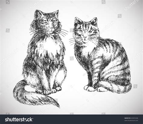 2 Cats Sketch: Over 3,077 Royalty-Free Licensable Stock Illustrations & Drawings | Shutterstock