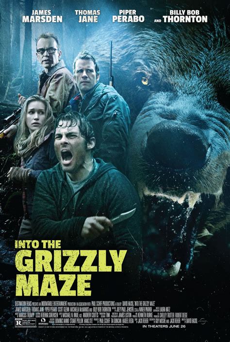 Grizzly Bear Movies Pictures to Pin on Pinterest - PinsDaddy