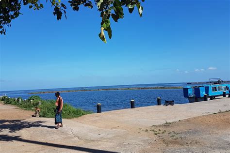 Chilika lake records rise in migratory bird numbers, sees new species too