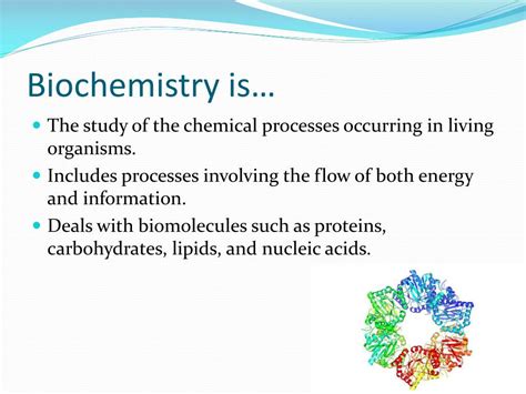 PPT - Human Biochemistry PowerPoint Presentation, free download - ID ...