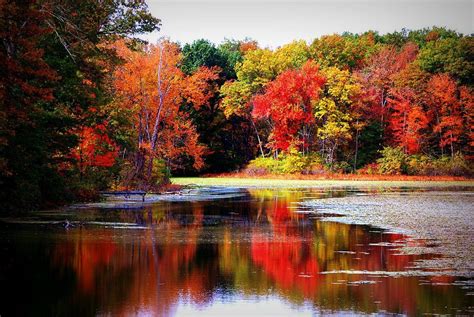 fall lake scene | Fall colors, Autumn lake, Fall foliage