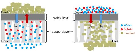 Membranes | Free Full-Text | Forward Osmosis Membrane: Review of ...