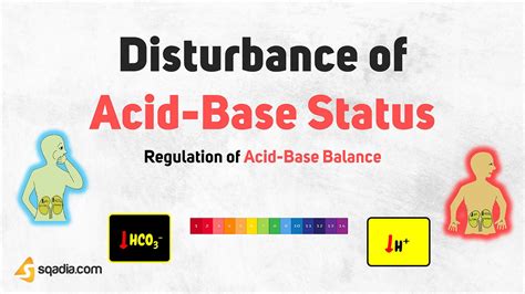 Regulation of Acid-Base Balance