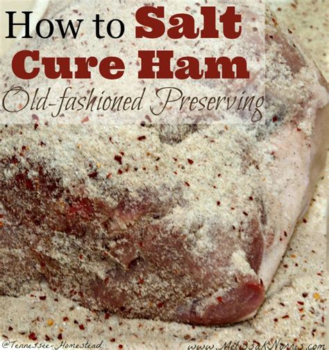 How to Salt Cure Ham Old-Fashioned Preserving | Melissa K. Norris