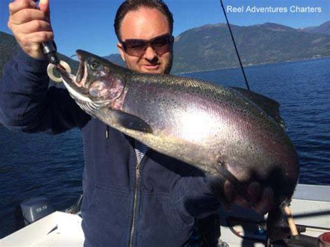 Kootenay Lake Fishing Report - The Nelson Daily