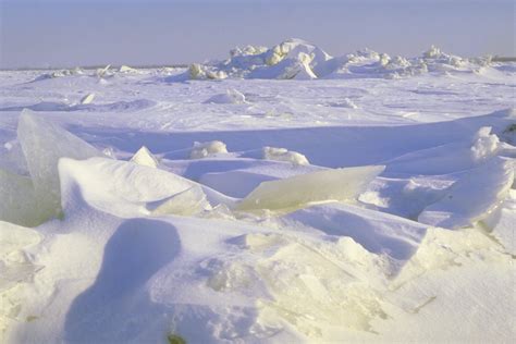 Why Is the Tundra so Important? | Sciencing